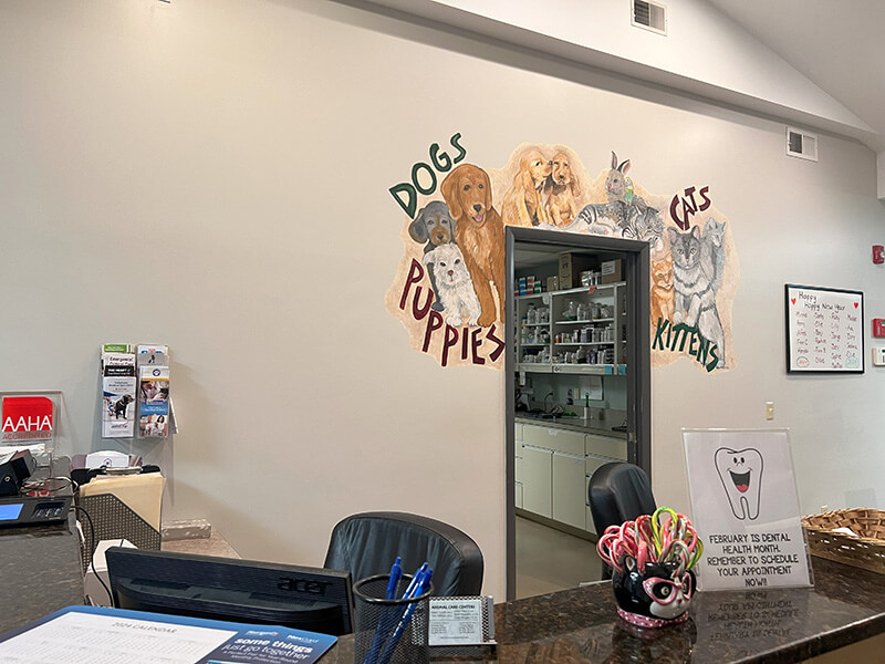 Front desk at Animal Care Centers