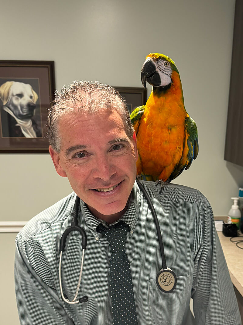 Dr. Halihan with parrot in veterinary office in Flanders, NJ